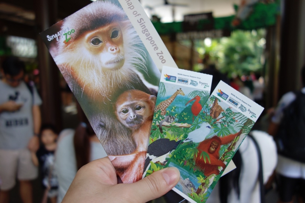 シンガポール動物園：チケットのイメージ