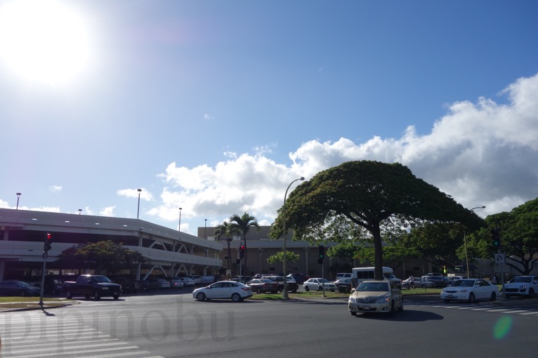 「Kilauea Ave + Makaiwa St」のバス停の周辺