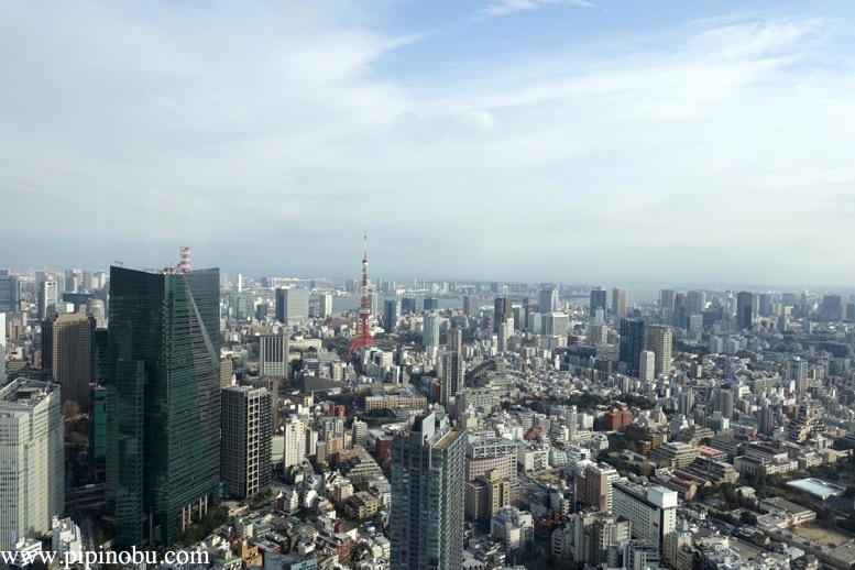 ミレニアスイートの眺望：東京タワー方面の眺望