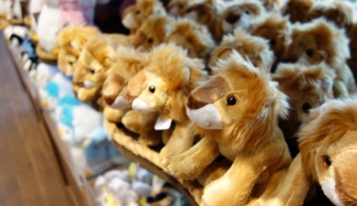 シンガポール動物園の攻略方法 行き方 帰り方からショーの楽しみ方まで シンガポール旅行記 陸マイラー ピピノブのanaのマイルで旅ブログ シンガポール動物園の攻略方法 行き方 帰り方からショーの楽しみ方まで シンガポール旅行記 陸マイラー ピピノブのanaのマイルで旅ブログ