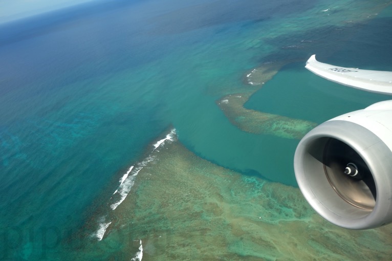 ハワイ】ホノルル-成田（NH183便）搭乗記：機内食からシート