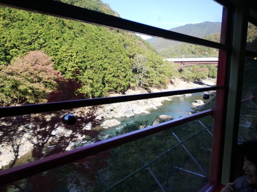 【嵐山】嵯峨野トロッコ列車：列車からの風景（4）
