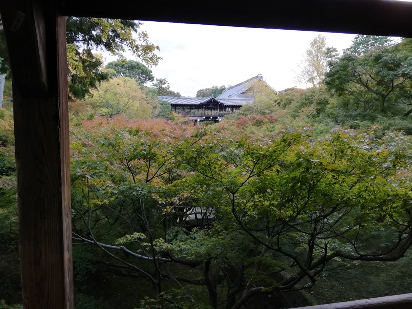 サイクリングツアー：東福寺2