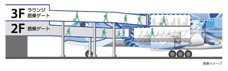 ANAラウンジからフライングホヌ（A380）への搭乗イメージ