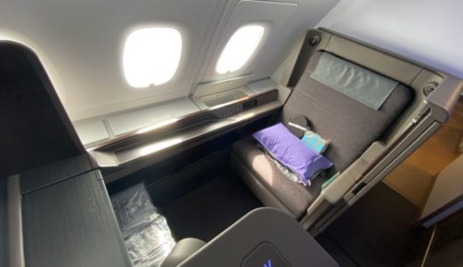 ANAフライングホヌ搭乗レポート！機内食から座席、アメニティー