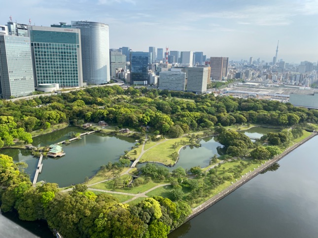 「メズム東京」のテラス（眺望1）