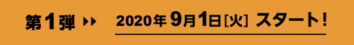 マイナポイント登録キャンペーン「楽天Edy」：詳細2