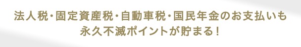 セゾンプラチナビジネスAMEXは、税金（法人税・固定資産税・自動車税・国民年金など）や公共料金の支払いでもポイントが貯まる