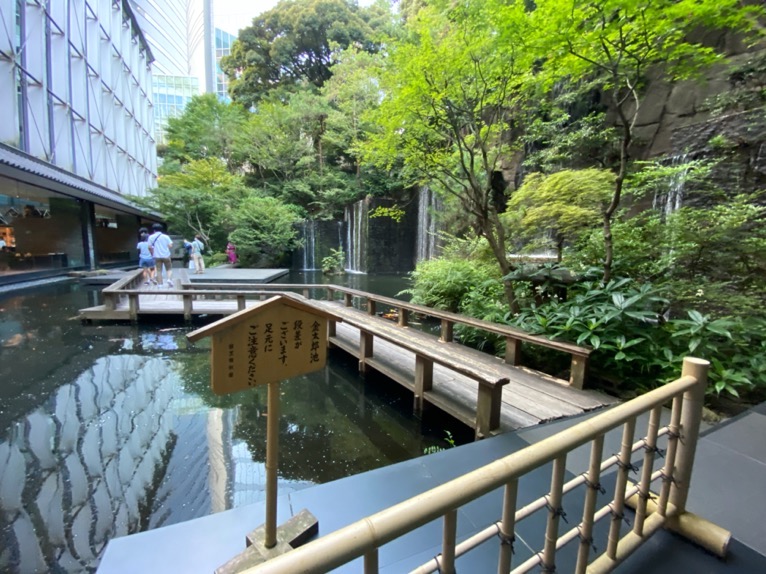 ホテル雅叙園東京：日本庭園（池）