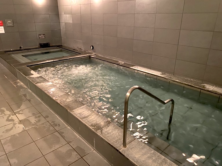 ザ・キャピトルホテル東急のプールとサウナ、ジム：大浴場