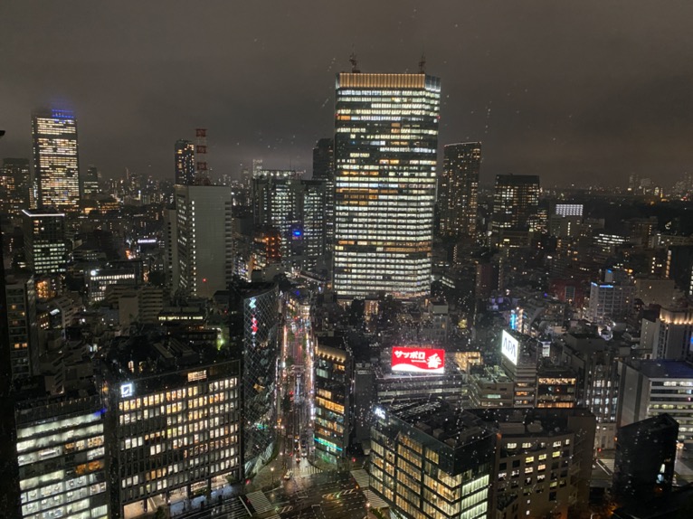 ザ・キャピトルホテル東急「客室」：夜景