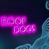 アロフト東京銀座のルーフトップバー「Roof Dogs」を体験レビュー！オープンエアで開放感抜群のおしゃれ空間！