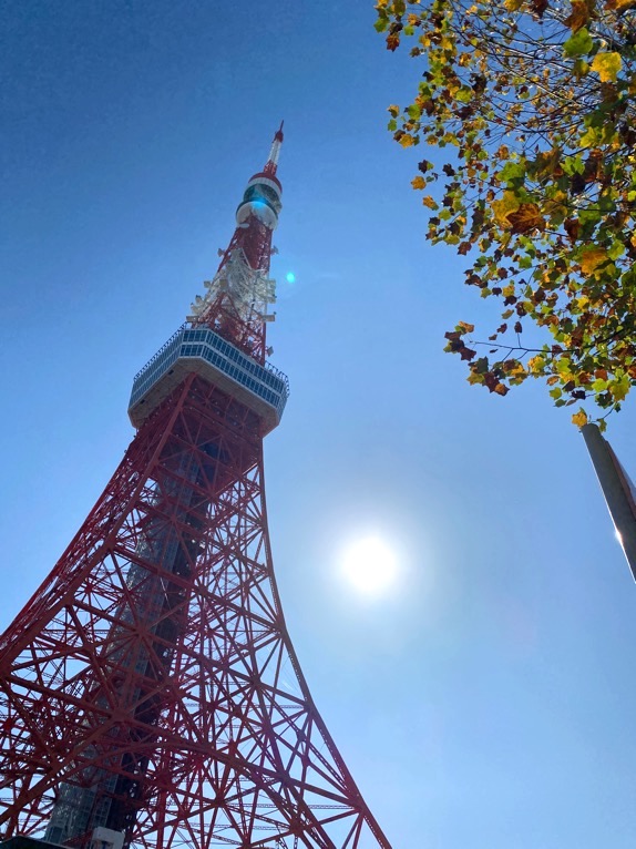 東京エディション虎ノ門「朝食後の散策」：東京タワー2