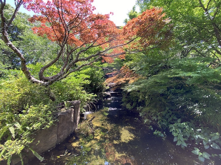 ウェスティンホテル東京の庭園