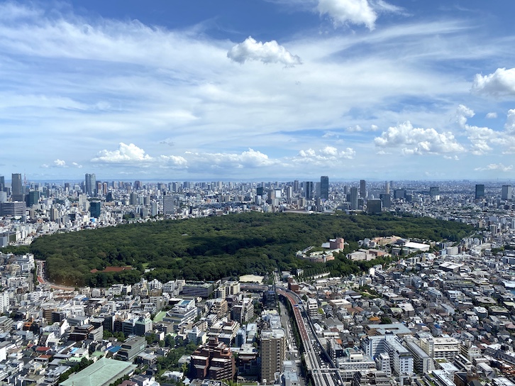 パークハイアット東京 宿泊記：客室（眺望2）