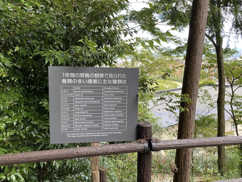 ウェスティン都ホテル京都 庭園：野鳥の森・探鳥路（風景1）