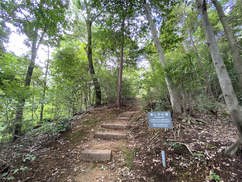 ウェスティン都ホテル京都 庭園：野鳥の森・探鳥路（風景3）