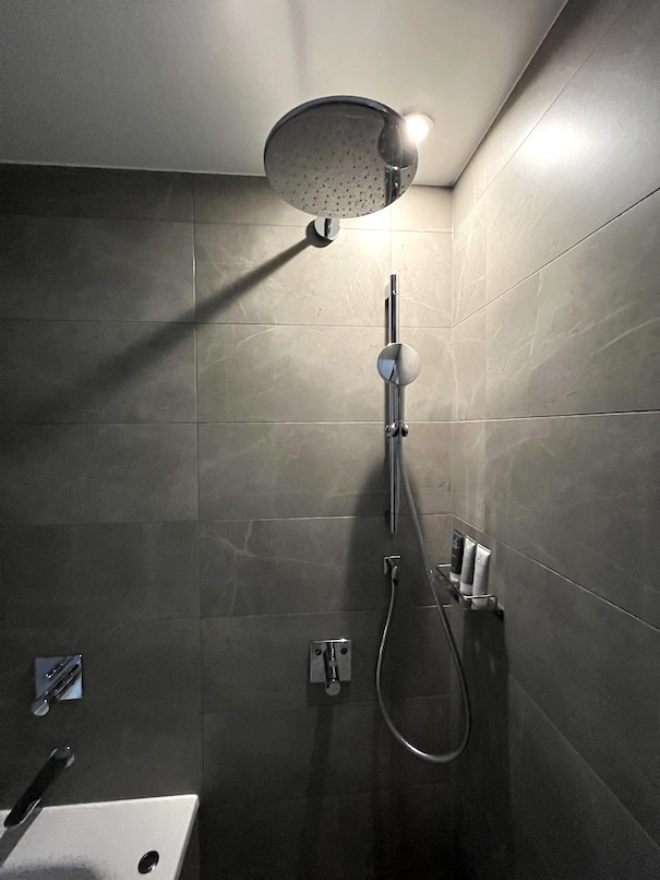 JWマリオット奈良の客室（ジュニアスイート）：バスルーム（ハンドシャワーとレインシャワー）