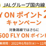 【2022年】JALのFOP2倍キャンペーンが延長決定！国内線と国際線の全路線が対象でJGC修行のチャンス到来！