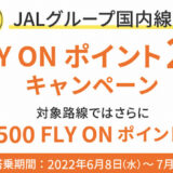 【2022年】JALでFOP2倍キャンペーンがスタート！国内線と国際線の全路線が対象でJGC修行のチャンス到来！