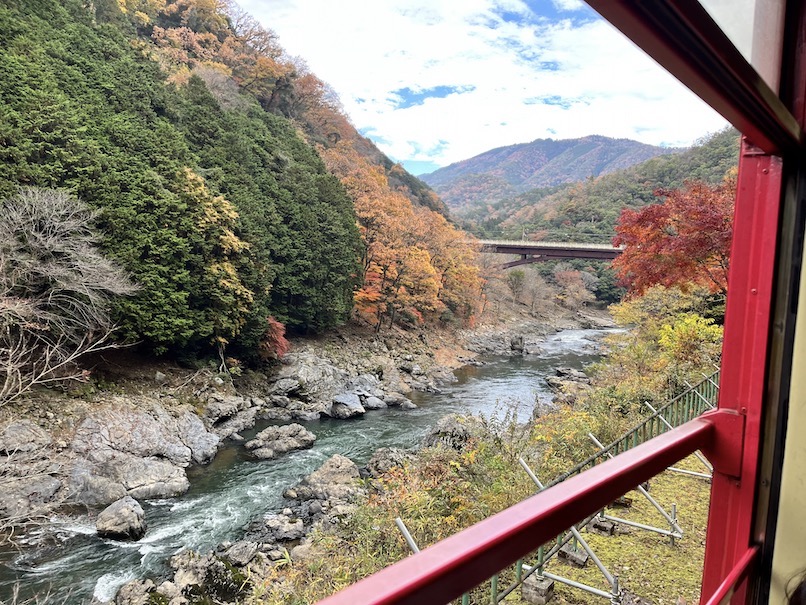 トロッコ列車の車窓からの紅葉1（2022年11月）