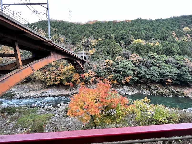 トロッコ列車の車窓からの紅葉3（2022年11月）