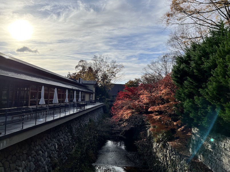 ROKU KYOTO（ロク京都）の自然の風景