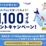 ANA Payのキャンペーンが凄い！10,000円決済で最大10,000マイルが貰えるのは驚異的なお得さ！