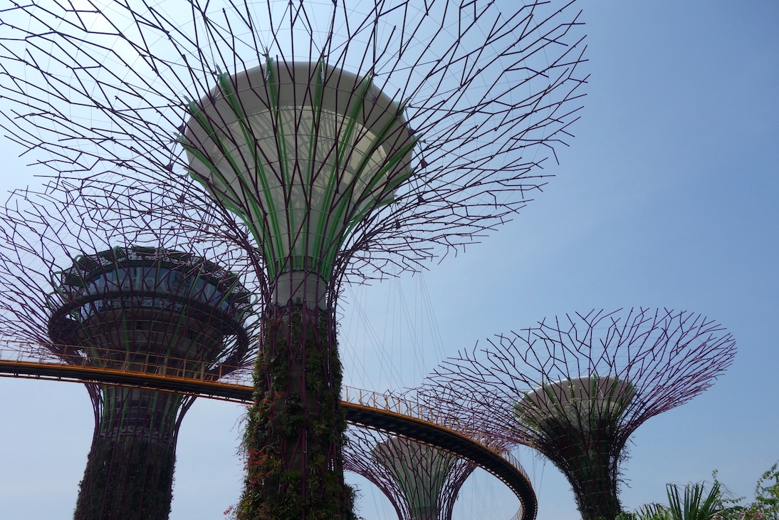 シンガポール観光のイメージ：ガーデンズバイザベイ