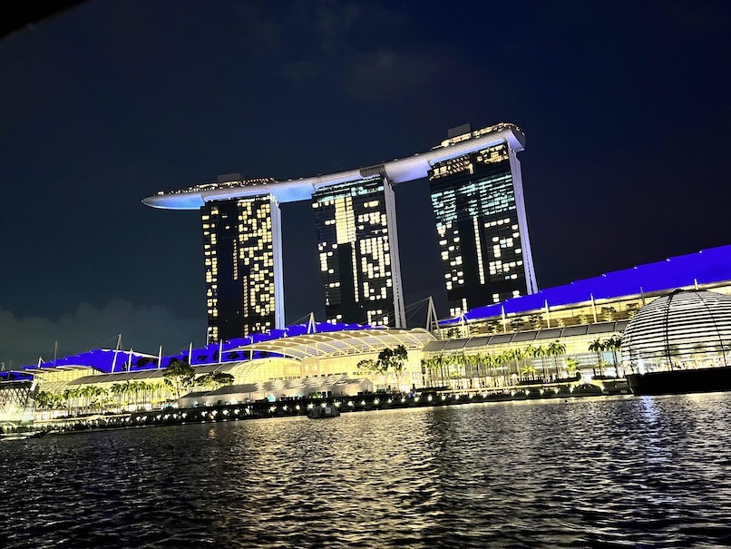 リバークルーズ（シンガポール）：ボートからの夜景（8）