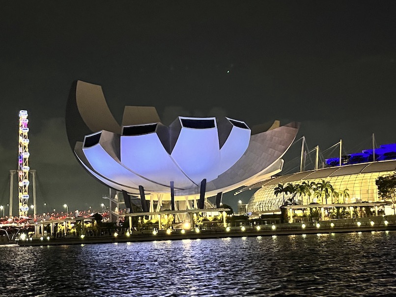 リバークルーズ（シンガポール）：ボートからの夜景（9）