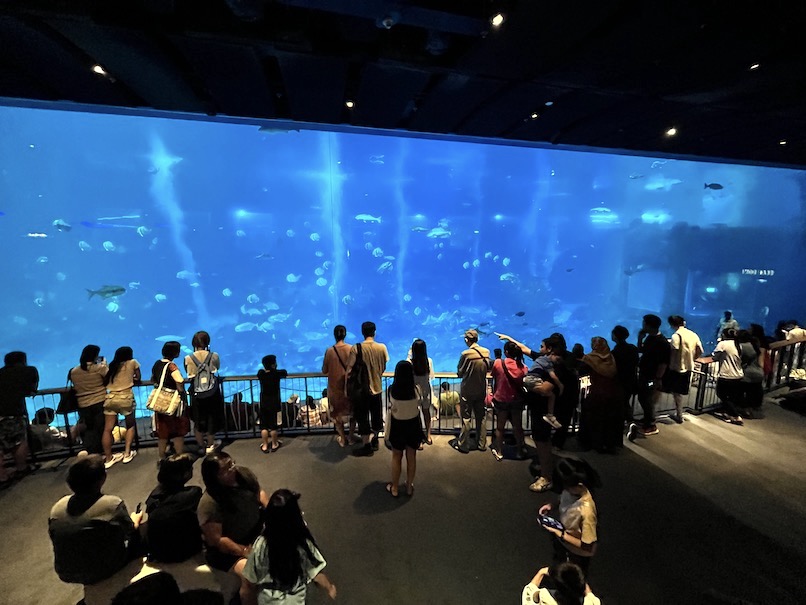 シーアクアリウム（シンガポール）のイメージ（大水槽）