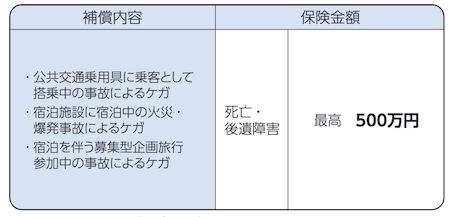 国内旅行傷害保険の内容