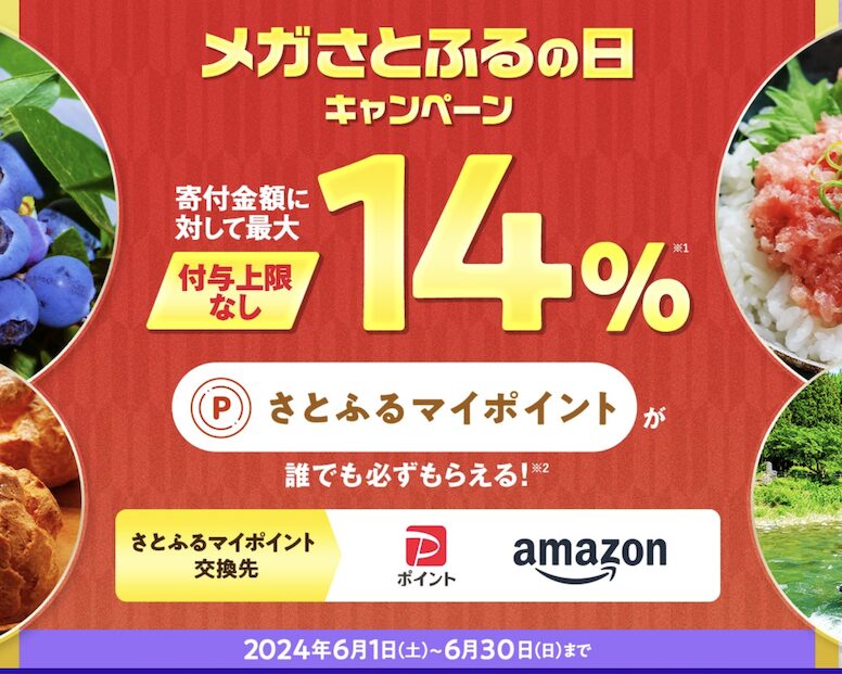 さとふる「メガさとふるの日（2024年6月）」：概要