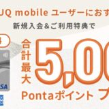 au PAYカードはポイントサイト経由の入会がお得！年会費無料で最大16,000円分の特典！