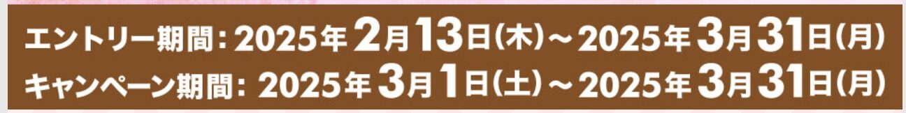 dポイント増量キャンペーン（2025年3月）：キャンペーン期間