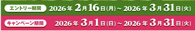 dポイント増量キャンペーン（2026年3月）：キャンペーン期間