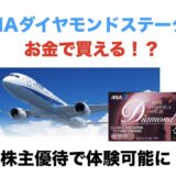 ANAダイヤモンドステータスがお金で買える？株主優待で体験が可能に！